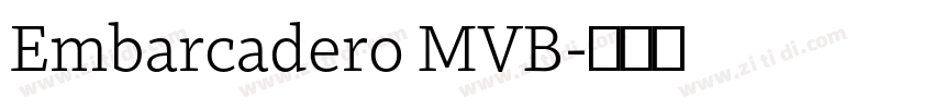 Embarcadero MVB字体转换